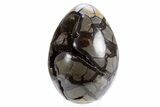 Septarian Dragon Egg Geode - Black Crystals #305821-2